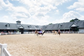 Picture of Kentucky Horse Park