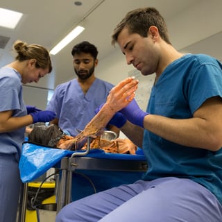 Picture of Cadaver
