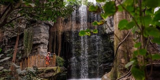 Picture of Omaha's Henry Doorly Zoo and Aquarium