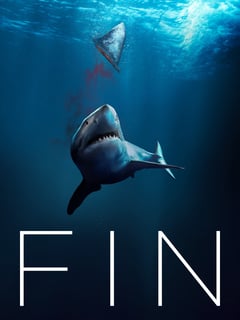 Picture of Fin