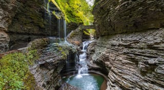 Picture of Finger Lakes