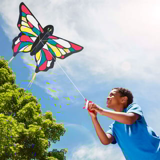 Picture of Kite