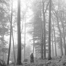 Picture of Folklore