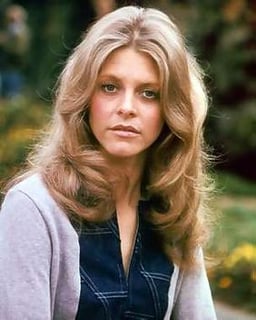Picture of The Bionic Woman