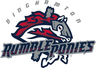 Picture of Binghamton Rumble Ponies