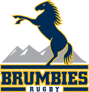 Picture of ACT Brumbies