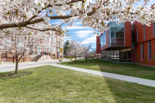 Picture of Adelphi University