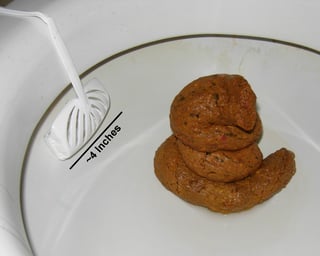Picture of Feces