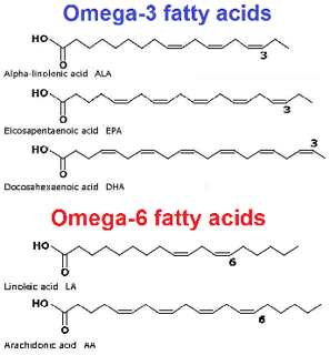 Picture of Omega-6 fatty acid