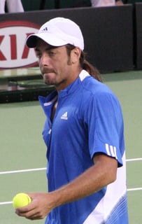 Picture of Nicolás Massú
