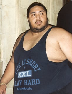 Picture of Yokozuna