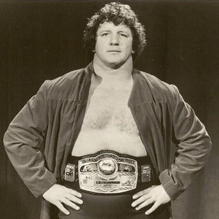 Picture of Terry Funk