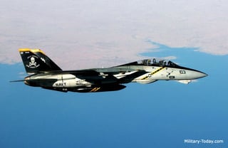 Picture of Grumman F-14 Tomcat