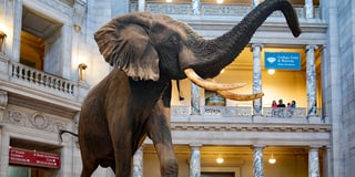 Picture of National Museum of Natural History