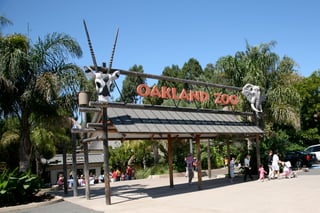 Picture of Oakland Zoo