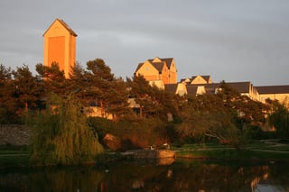 Picture of Naas