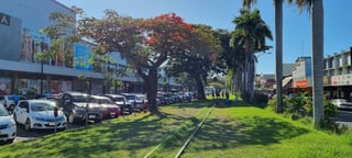 Picture of Lautoka