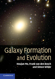 Picture of Galaxy formation and evolution