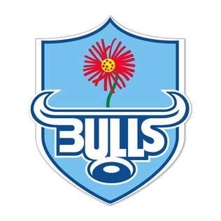 Picture of Bulls