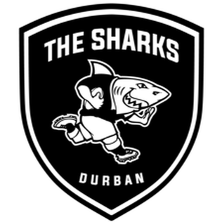 Picture of Sharks