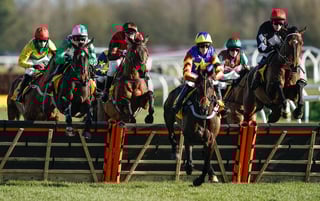 Picture of National Hunt racing