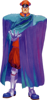Picture of M. Bison
