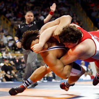Picture of Wrestling