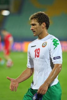 Picture of Stiliyan Petrov