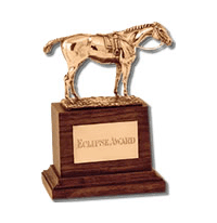 Picture of American Horse of the Year