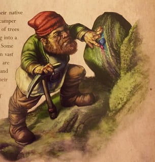 Picture of Gnome