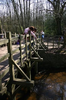 Picture of Poohsticks