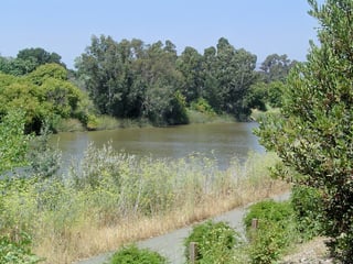 Picture of Napa River