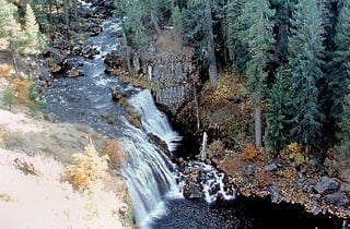 Picture of McCloud River