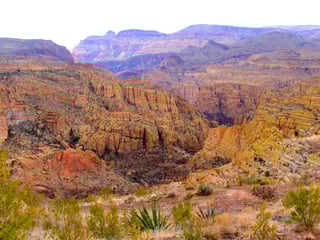 Picture of Tonto National Forest