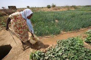 Picture of North Darfur