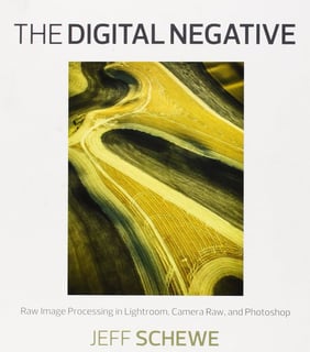 Picture of Digital Negative