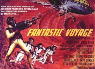 Picture of Fantastic Voyage