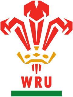 Picture of Wales national rugby union team