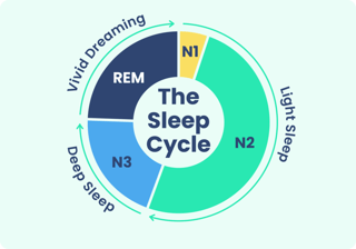 Picture of Non-rapid eye movement sleep