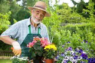 Picture of Gardener