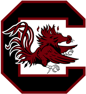 Picture of South Carolina Gamecocks football