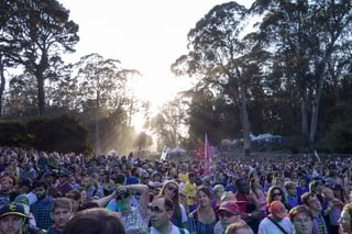 Picture of Hardly Strictly Bluegrass