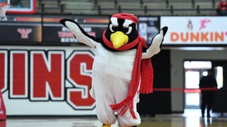 Picture of Youngstown State Penguins