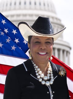 Picture of Frederica Wilson