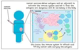 Picture of Cancer vaccine