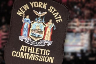 Picture of New York State Athletic Commission