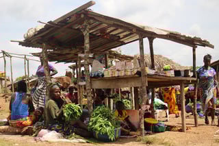 Picture of Totota