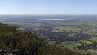 Picture of Pomonal