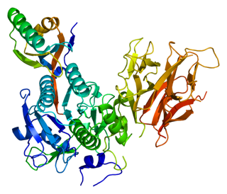 Picture of PCSK9