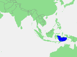 Picture of Banda Sea